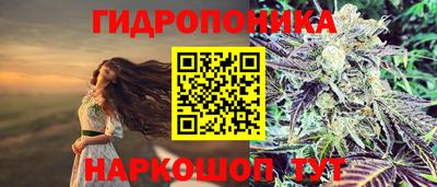 прущие крисы Мирный