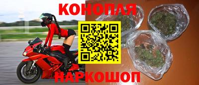прущие крисы Мирный